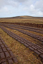 Community peat diggings, North Harris, Western Isles / Outer Hebrides, Scotland, UK, May 2011