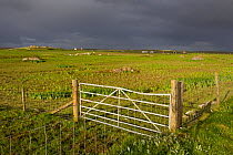 Gate and fence for management of habitat for waders and corncrake, RSPB Balranald reserve, North Uist, Western Isles / Outer Hebrides, Scotland, UK, May 2011