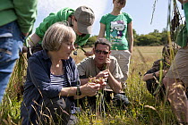 Participants on 'Identifying grasses, sedges and rushes' course, learn from expert, Margaret Howells, at Denmark Farm Conservation Centre, Lampeter, Wales, UK. June 2011. Model released