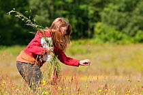 Participant on 'Identifying grasses, sedges and rushes' course, at Denmark Farm Conservation Centre, Lampeter, Wales, UK. June 2011. Model released