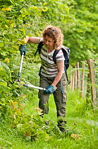 Volunteer, Aline Denton, cutting back brambles and blackthorn as part of the farm's conservation management, Denmark Farm, Lampeter, Wales, UK. June 2011. Model released