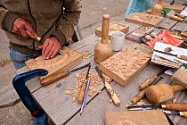 Participant on wood-carving workshop at Denmark Farm Conservation Centre, Lampeter, Wales, UK. June 2011. (Model released)