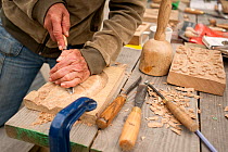 Participant on wood-carving workshop at Denmark Farm Conservation Centre, Lampeter, Wales, UK. June 2011. Model released