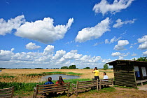 People birdwatching from Joist Fen viewpoint, Lakenheath Fen RSPB Reserve, Suffolk, UK, May 2011
