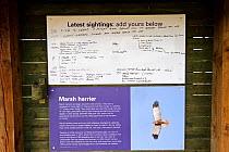 Information and bird sightings boards with details of Marsh harrier, Lakenheath Fen RSPB Reserve, Suffolk, UK, May 2011