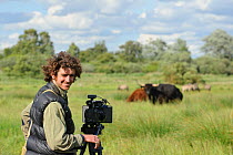 Will Bolton filming Domestic cattle (Bos taurus) for 2020VISION, Wicken Fen, Cambridgeshire, UK, June 2011. Model released