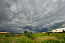Wicken Fen under dark clouds landscape, Cambridgeshire, UK, June 2011