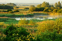 Wicken Fen landscape, Cambridgeshire, UK, June 2011