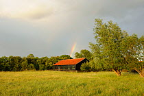 Rainbow behind wooden building on Wicken Fen, Cambridgeshire, UK, June 2011