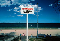 Shark warning sign on Botany Bay beach. Sydney, Australia.