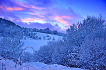 Sunset over snowy landscape, Caerphilly Mountain, Caerphilly, South Wales, UK, December 2010