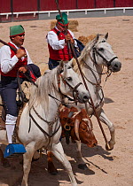 During the Festa do Colete Encarnado (Red Waistcoat Festival), a bull running festival, traditionally dressed cowboys, mounted on their horses, drive a bull in the bullring of Vila Franca de Xira, Dis...