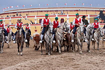 During the Festa do Colete Encarnado (Red Waistcoat Festival), a bull running festival, traditionally dressed cowboys, mounted on their horse, drive the bulls in front of the bullring of Vila Franca d...
