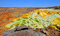 Colourful mineral deposits at Dallol hydrothermal site on Karoum salt lake, Danakil depression, northern Ethiopia, February 2009