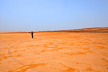 Man standing on Karoum salt lake, Danakil depression, northern Ethiopia, February 2009