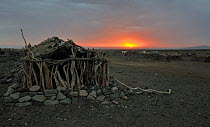 Stone and wooden hut in Amhed ila village at sunrise on Karoum salt lake, Danakil depression, north Ethiopia, February 2009
