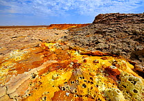 Colourful mineral deposits at the Dallol hydrothermal site on the Karoum salt lake, Danakil depression, northern Ethiopia, February 2009