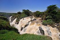 Waterfalls of the Awash National Park, Awash, Ethiopia, February 2009