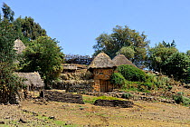 Traditional village homes in Oromo village, Ethiopian highlands, Rift valley, Ethiopia, February 2009