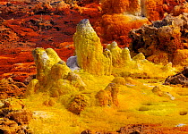 Mineral deposits at the Dallol hydrothermal site on the Karoum salt lake, Danakil depression,  northern Ethiopia, February 2009