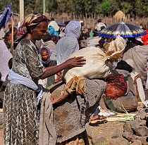 Women carrying goods at the Oromo village market in the region of Raya azebo, Ethiopian highlands, Rift valley, Ethiopia, February 2009