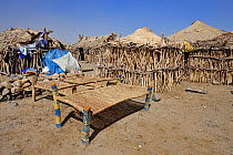 Traditional homes, Ahmed Ila village, Afar, Danakil depression, North Ethiopia, February 2009