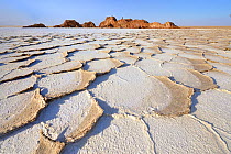 Lake Karoum, overlapping hexagonal plates of salt softened after the rains, Danakil depression, Ethiopia, February 2009