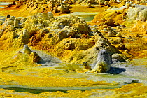 Colourful mineral deposits at the Dallol hydrothermal site, Salt lake Karoum, Danakil depression, Ethiopia, February 2009