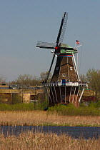 Dutch windmill on marsh, Holland, Michigan, USA, May 2008