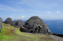 Part of the Summit monastery showing 6th century beehive cells. now occupied by large numbers of Storm Petrels, Co Kerry, Republic of Ireland, June 2011