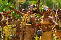 Villagers of Papasena dance to celebrate arrival of Bruce Beehler and team. June 2007.