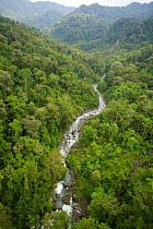 Aerial view of Foja Mountians rain forest, with river flowing through a wooded valley. June 2007.