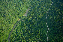 Aerial view of lowland rainforest of the Mamberamo River basin, taken on flight between Papasena and Sentani, Papua, Indonesia, 2007.