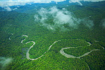 A river draining from the Foja Mountains toward Kwerba Village. Foja Mountains, Papua, Indonesia, October 2008. (taken during Conservation International Rapid Assessment Program expedition)