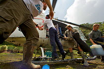 Unloading helicopter at the bog landing site at 1650 m elevation in the Foja Mountains. Foja Mountains, Papua, Indonesia, 2008. (taken during Conservation International Rapid Assessment Program expedi...