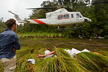 Foja Mountains expedition member watching the helicopter depart. Foja Mountains, Papua, Indonesia, 2008. (taken during Conservation International Rapid Assessment Program expedition)