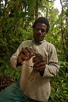 Foja Mountains RAP expedition field assistant Bastian Tawane removes a female Black Pitohui (Pitohui nigrescens) from a mist net. Papua, Indonesia, 2008. (taken during Conservation International Rapid...