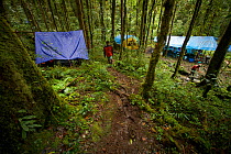 View of the main camp site known as 'Bog Camp' in the Foja Mountains - base of operations for the CI RAP expedition in 2008. Foja Mountains, Papua, Indonesia, 2008. (taken during Conservation Internat...