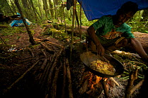 Foja Mountains RAP Expedition High Camp at 2000 m elevation in the upper montane forest. Field assistants prepare breakfast. Foja Mountains, Papua, Indonesia, 2008. (taken during Conservation Interna...
