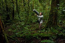 Edwin Scholes records bird calls as part of documentation of the biodiversity of the Foja Mountains, Papua, Indonesia, 2008. Model released. (taken during Conservation International Rapid Assessment P...