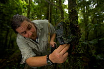 Edwin Scholes sets up a video camera triggered by a infra-red sensor to monitor behaviour of a Golden-fronted Bowerbird (Amblyornis flavifrons) at his bower. Foja Mountains, Papua, Indonesia, 2008. Mo...