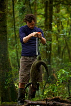 Mangrove / Blue-tailed Monitor (Varanus doreanus)female. Paul Oliver weighs the monitor lizard. Foja Mountains, Papua, Indonesia, 2008. (taken during Conservation International Rapid Assessment Progra...
