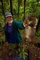 National Geographic magazine writer Mel White holds up one of the Giant Rat (possibly Leptomys sp.) species found in the Foja Mountains. Foja Mountains, Papua, Indonesia, 2008. (taken during Conservat...