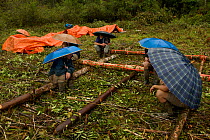 Expedition members waiting under umbrellas at the helipad. Foja Mountains, Papua, Indonesia, 2008. (taken during Conservation International Rapid Assessment Program expedition)