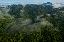 View of the Foja Mountains from the helicopter on the trip between Bog Camp and Kwerba village. Foja Mountains, Papua, Indonesia, 2008. (taken during Conservation International Rapid Assessment Progra...