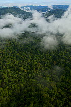View of the Foja Mountains from the helicopter on the trip between Bog Camp and Kwerba village. Foja Mountains, Papua, Indonesia, 2008. (taken during Conservation International Rapid Assessment Progra...