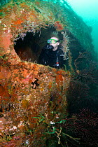 Diver exploring Shakem Wreck, a cargo boat that sank in 2001. Grenada, West-Indies, Caribbean, May 2009. Model released.