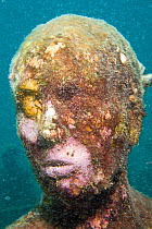 Underwater Sculpture Gallery off Molinere Point, created by Jason de Caires Taylor. Colonised by sea life,  Grenada, West-Indies, Caribbean, May 2009. No release.