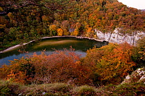 Autumn colour in the Danube Gorge. Weltenburger Enge nature reserve near Kelheim, Bavaria, Germany, October 2010.
