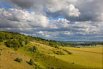 Down Farm, Aldbury viewed from Ivinghoe hills in the Chilterns, Buckinghamshire, UK, June 2011